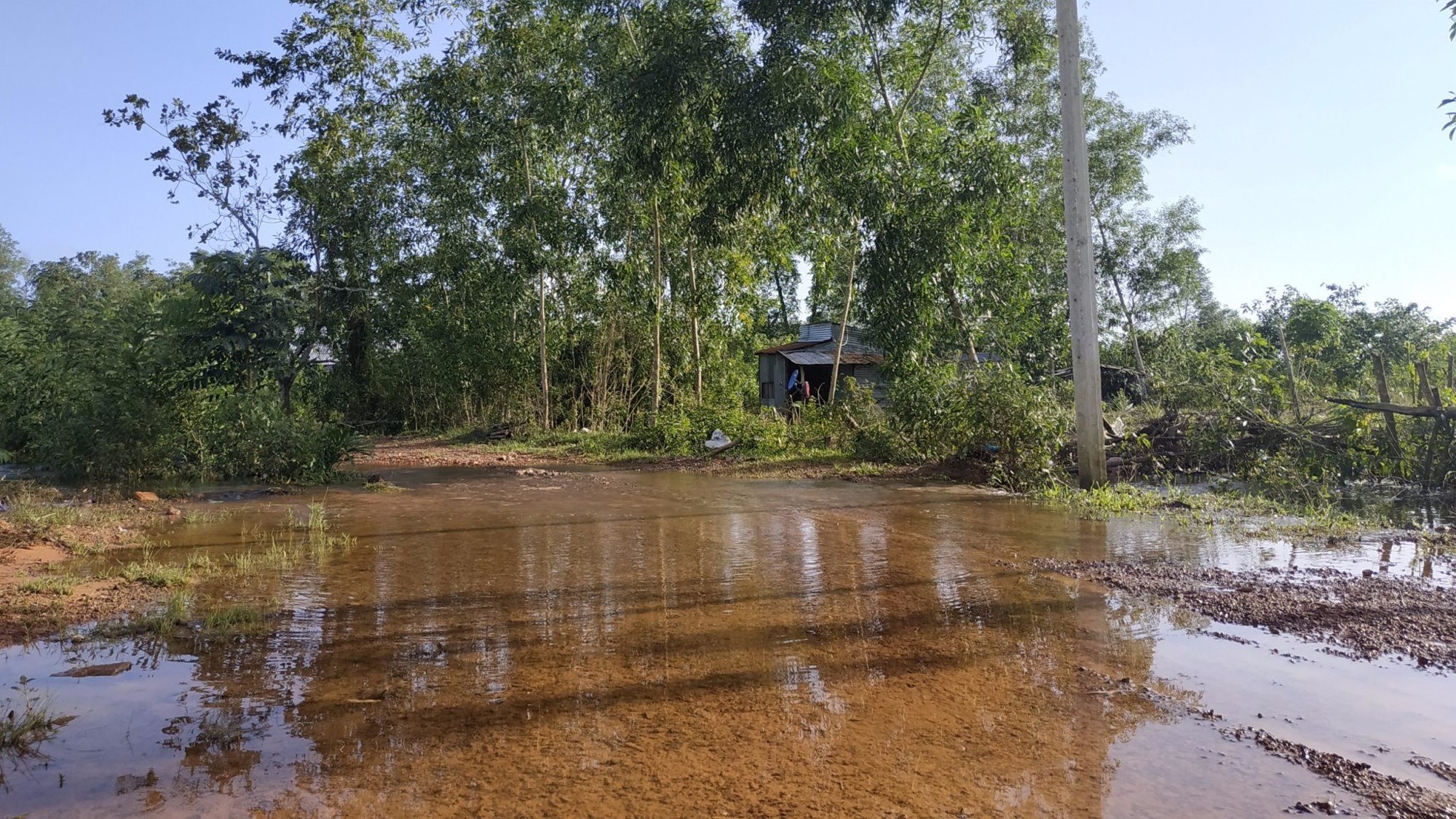SEN GROUP JOINS HANDS IN ASSISTING PHU QUOC RESIDENTS AFTER HISTORIC FLOODS